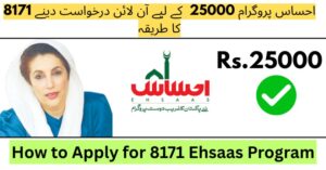 A visual picture of 8171 ehsaas program Rs.25000 bisp
