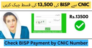 A visual guide of to Check BISP Payment by CNIC Number