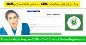 A visual picture ehsas kafalat program