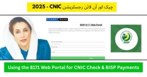 8171 Web Portal visual picture